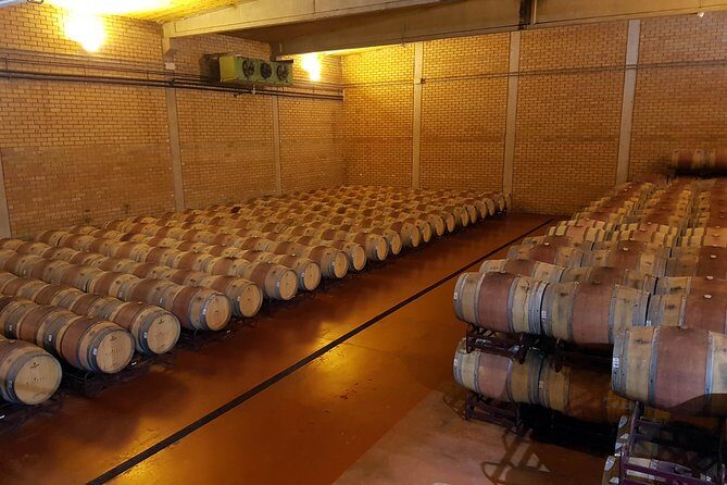 Visit and wine tasting with sausage and BODEGA PIRINEOS cheese - What Do Visitors Say?