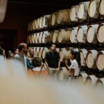 Visit La Joya Escondida de la Ribera del Duero Winery - Exploring the Finca Villacreces Winery Tour