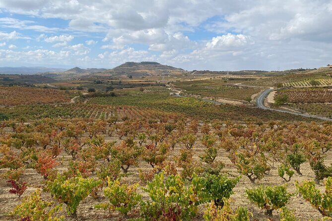 Visit of Marques de Riscal & Boutique Winery from Bilbao - The Experience of the Guide