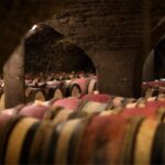 Visit of our 15th century cellars - A Closer Look at the Tour