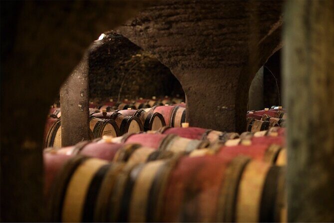 Visit of our 15th century cellars - A Closer Look at the Tour
