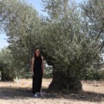 Visit olive grove centenary with oil tasting course - Final Thoughts: Who Will Love This Tour?
