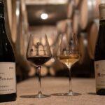 Visit-Tasting-Sale - The Setting and Atmosphere