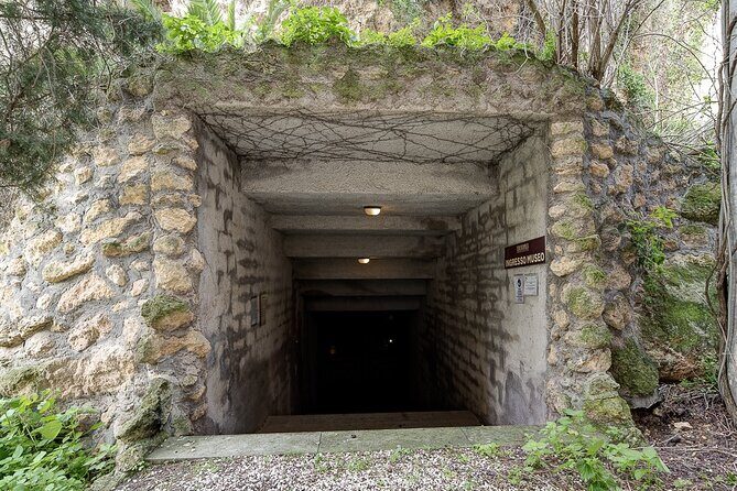 Visit the Etruscan underground Heritage Site of Tarquinia - The Price and Value