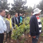 Visit to Arafo Mountain Vineyard and Organic Wine Tasting - The Itinerary in Detail