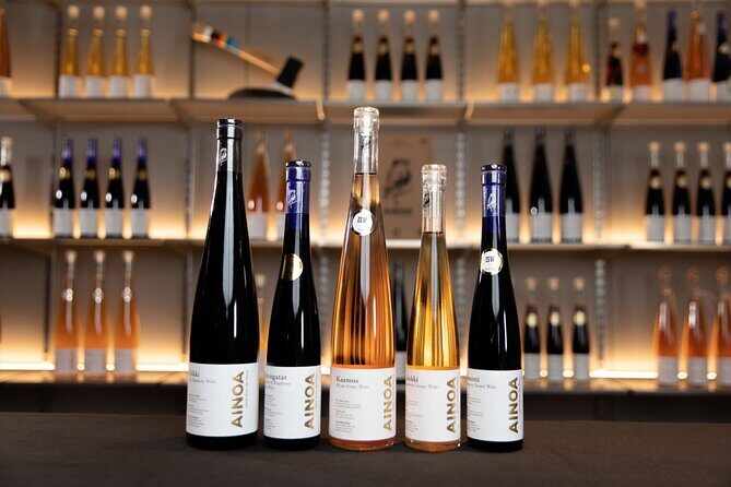 Visit to Authentic Finnish Berry Winery, Tasting Included - The Itinerary in Detail