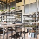 Visit to the cellar and tasting - The Setting and Atmosphere