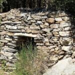 Visit to the Faugères Vineyards with Picnic from Béziers - The Picnic and Village Charm