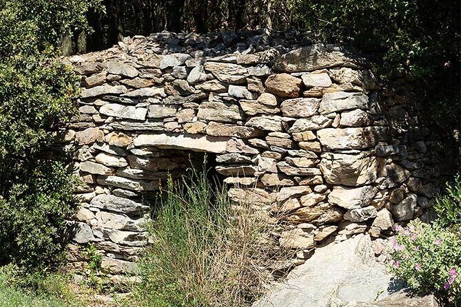 Visit to the Faugères Vineyards with Picnic from Béziers - The Picnic and Village Charm