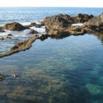 Volcano Teide National Park And North Of The Island VIP TOUR - Transportation and Comfort