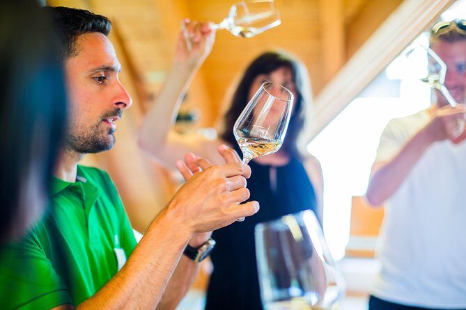 Wachau Valley Small-Group Tour and Wine Tasting from Vienna - Why You’ll Love This Tour