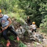 Waldseilpark Wörthersee - Final Thoughts