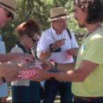 Walking Tour of Old Nice and Castle Hill - What’s Included and What’s Not