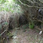 Walking Trails of Terceira - Final Thoughts: Who Will Love This Tour?