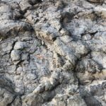 Walking with Dinosaurs along Asturias' coast - Final Thoughts