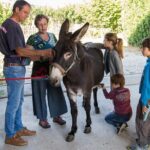 Walks and hikes with donkeys - Highlighted Attractions and Unique Features