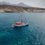 Watching and Listening Whales visiting Los Gigantes&Masca. Food&drinks included - Who Would Love This Experience?