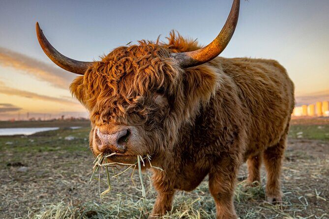 West Coast Lochs & Castles Tour - from Glasgow - Is the Price Worth It?