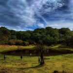 West Madeira Island Guided Tour & Fanal Mystic Forest - What’s Included and What’s Not