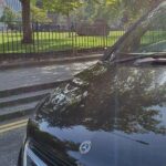 West of Scotland Cultural Tour - What’s Included and What’s Not?