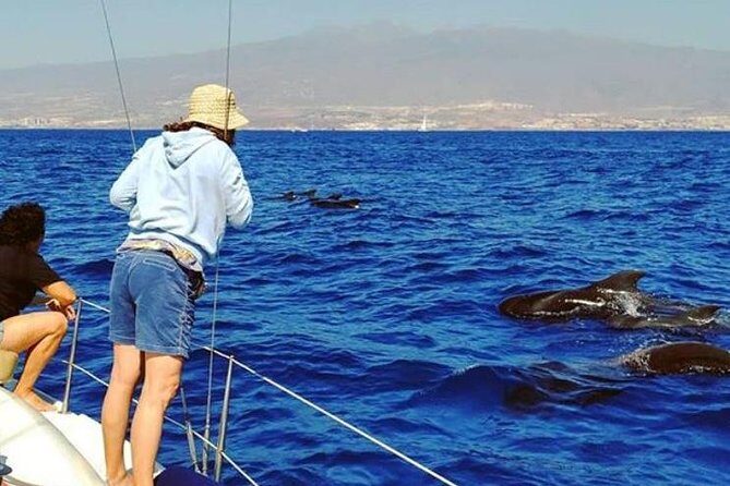 Whale and Dolphin Small Group Sailing from Tenerife South - Who Would Love This Tour?