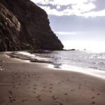 Whale Watching and Listening Eco Catamaran Tour with Food Tasting - The Value and Overall Impression