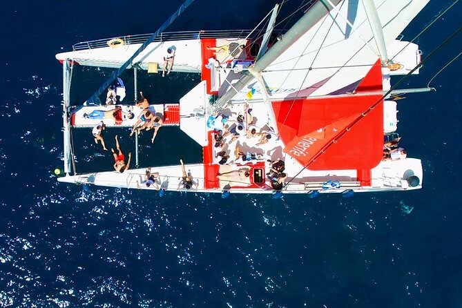 Whale watching and listening Eco-Catamaran Tour with Food Tasting - Setting Out on the Water: What to Expect