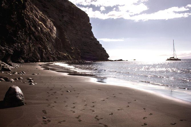 Whale Watching and Listening Eco Catamaran Tour with Food Tasting - The Value and Overall Impression