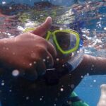 Whale Watching Catamaran Cruise with Transfer, Buffet by MC - Snorkelling and Swimming Opportunities