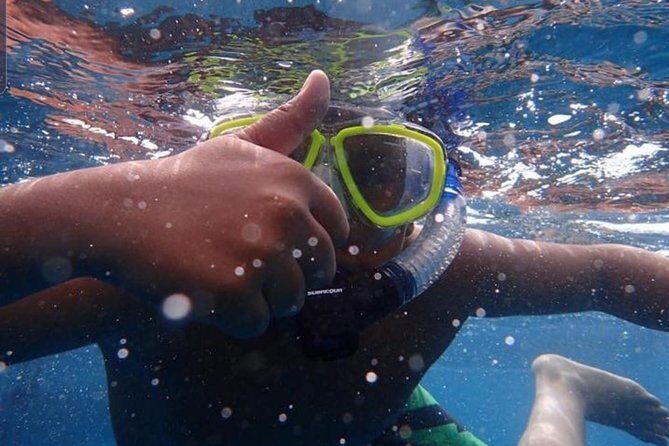 Whale Watching Catamaran Cruise with Transfer, Buffet by MC - Snorkelling and Swimming Opportunities