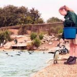 Whipsnade Zoo Entry Ticket - Practical Tips for Visiting