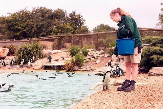 Whipsnade Zoo Entry Ticket - Practical Tips for Visiting