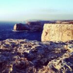 Wild and Wonderful West Coast Full Day Tour - Beach and Nature Stops