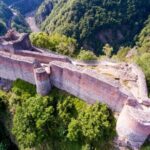 Wild Bears Safari on Transfgran - Small group max 7 Tourists - Wildlife Encounters: The Main Attraction