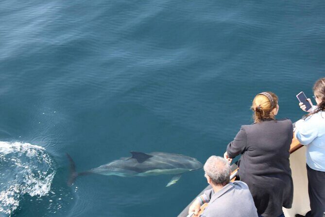 Wildlife Tour - Final Thoughts