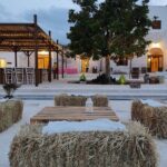 Wine and Food Pairing Experience at Alberobello Winery - Is This Tour Right for You?