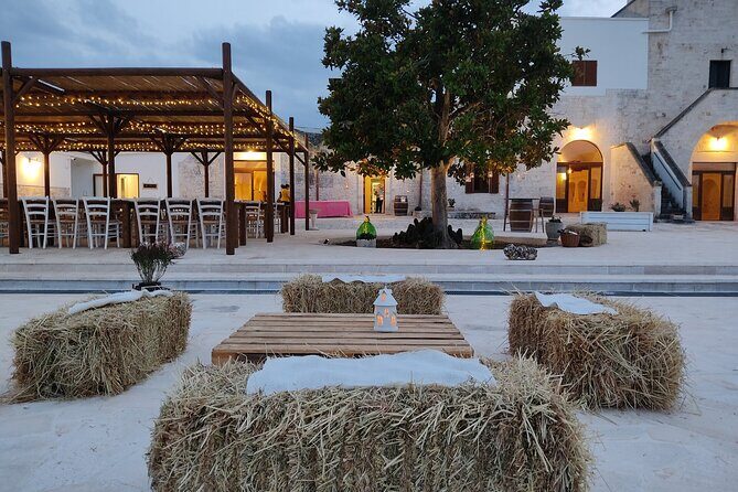 Wine and Food Pairing Experience at Alberobello Winery - Is This Tour Right for You?