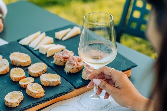 Wine and Food Tasting in the Vineyards in Lazise - The Practical Details