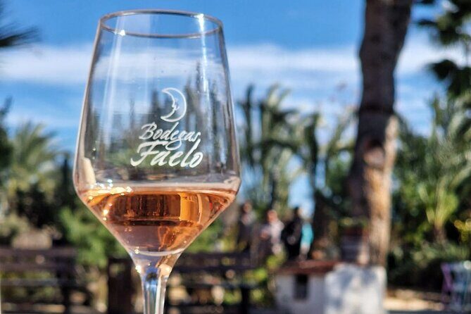 Wine and Tapas Tasting Tour from Alicante, Private Van - The Itinerary in Detail