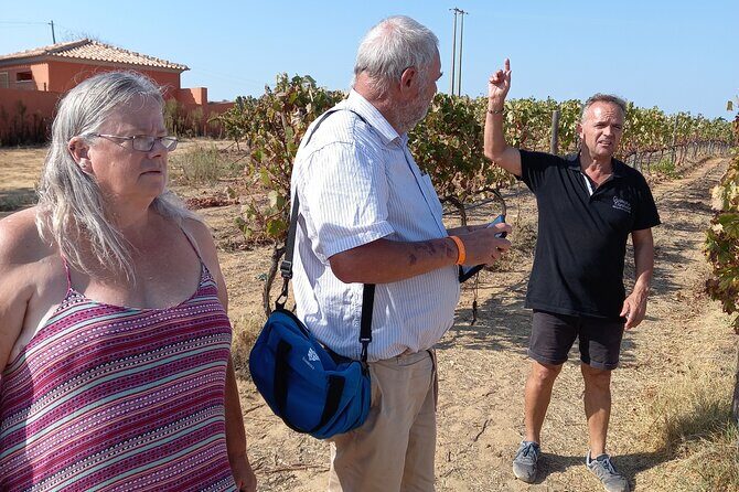 Wine Lovers: Winery Tour w/ Tasting & Tapas (Albufeira/Vilamoura) - Is It Good Value?