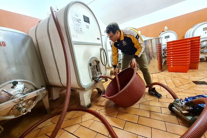 Wine & Oil Tasting Experience - The Small Details That Matter