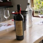 Wine Roads Private Day Tour: Corinth - Ancient Nemea & Wine Tasting - What’s the Experience Like?