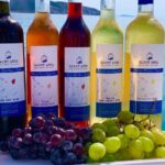 Wine Tasting and Tour in Saint Anna Winery in Naxos - What You Will See and Do