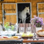 Wine tasting at Quinta das Murgas - The Price and Its Value