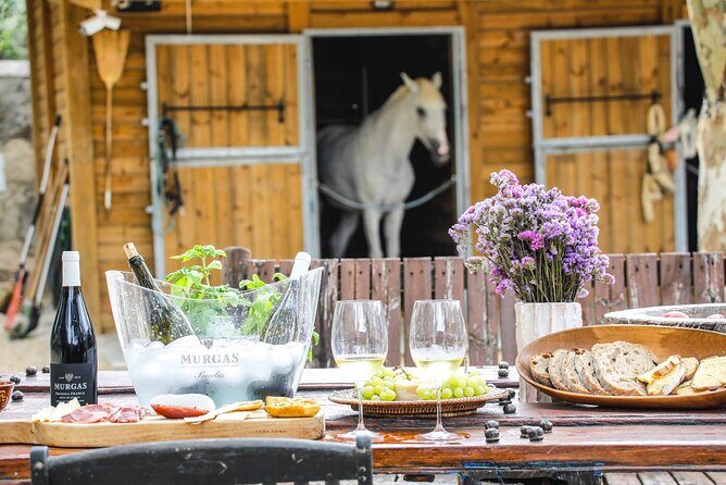 Wine tasting at Quinta das Murgas - The Price and Its Value