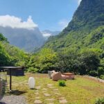 Wine Tasting Experience in Boaventura, Madeira North Coast - What to Expect from the Madeira Wine Tasting Experience