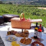 Wine Tasting & Lunch | Quinta de Santa Cristina Vinho Verde - Authentic Feedback from Visitors