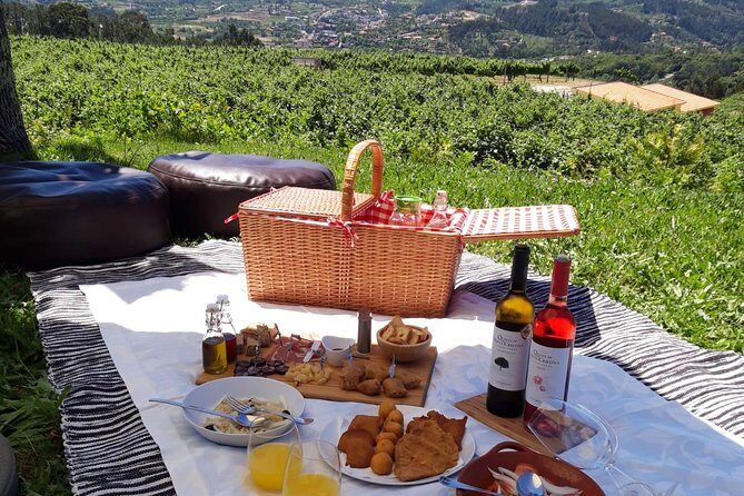 Wine Tasting & Lunch | Quinta de Santa Cristina Vinho Verde - Authentic Feedback from Visitors
