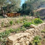 Wine Tasting: Meet the Cretan Vineyard at West Chania - FAQs