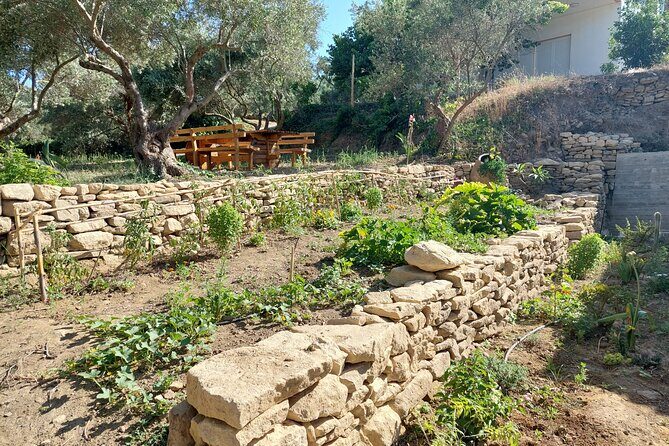 Wine Tasting: Meet the Cretan Vineyard at West Chania - FAQs